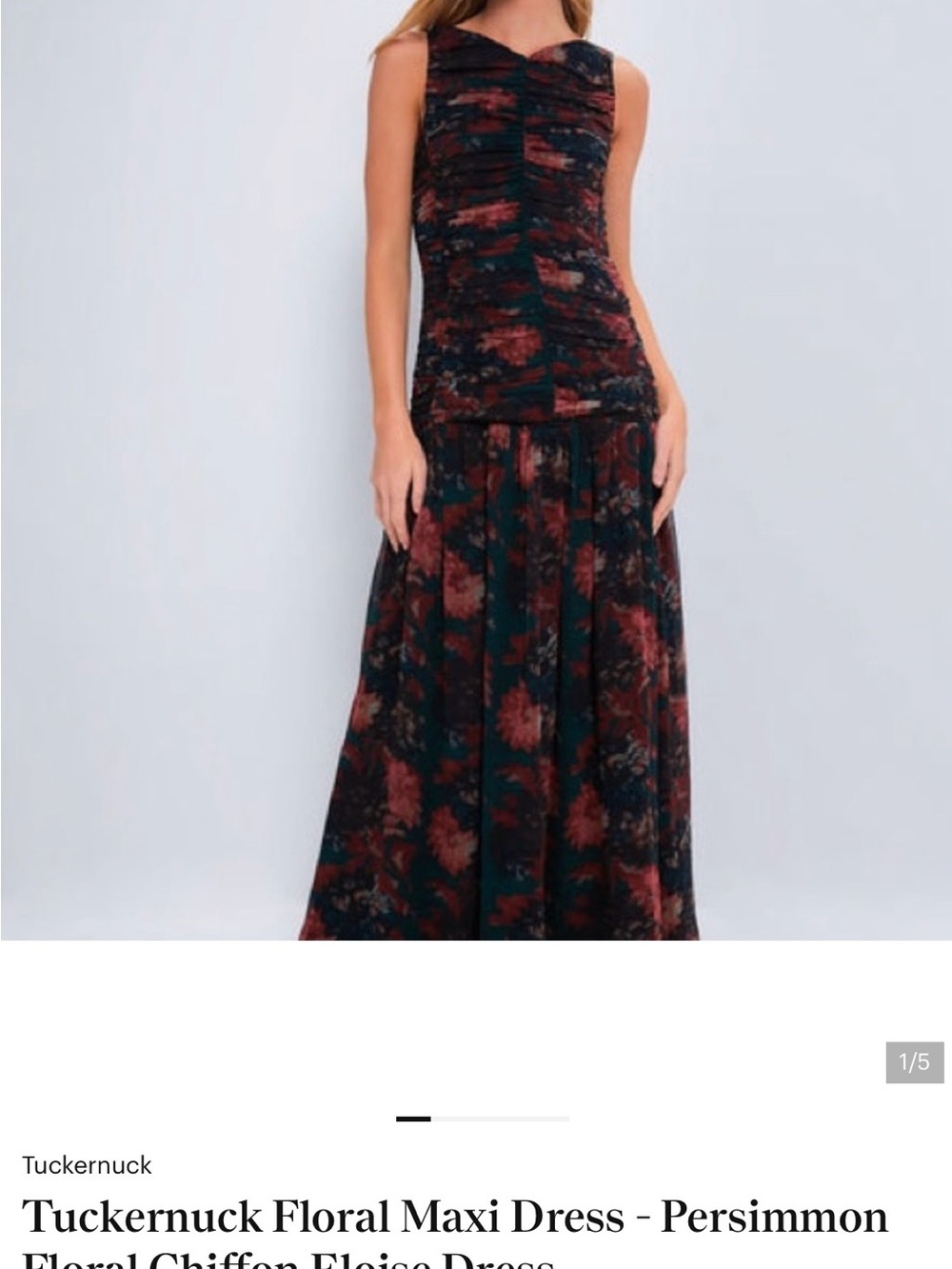 NWT Tuckernuck Floral Maxi Dress